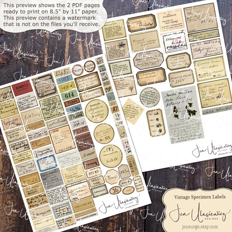 Vintage Specimen Labels Digital Collage Sheet for Crafts / Junk Journal ...