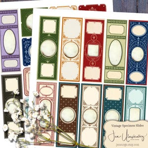 Vintage Specimen Slides digital collage sheet for crafts / junk journal / scrapbook / cards / altered art / mixed media / clipart