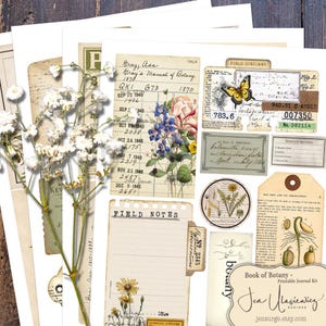 Può includere: Una collezione di carta effimera a tema botanico con schede per diario, etichette e appunti sul campo in stile vintage. I disegni includono illustrazioni di fiori, una farfalla e testi scritti a mano.
