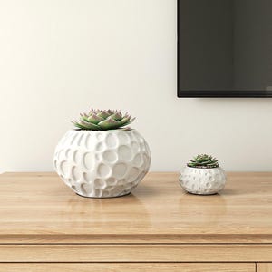 Self-Watering Moon Planter Pot | Geometric Sculptural Vase | Wick System | Minimalist 3D Printed Decor | Christmas Gift for office