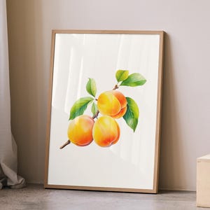 Apricot Botanical Poster | Vintage Fruit Wall Art Print | Farmhouse Kitchen Decor | Yellow Dining Room Botanical Art | Digital Download