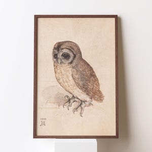 Albrecht Durer Instant Download The Little Owl Vintage Art Poster Animal Wildlife Nature Illustration Home Decor Fine Art Print