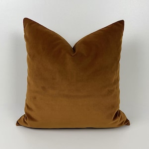 Camel Velvet Pillow Cover: Soft Fabric Throw Pillow