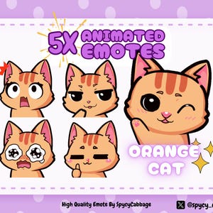 Animated Orange Cat Emotes: Twitch, YouTube, Discord (5x .GIF & .PNG)
