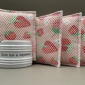 Cleaning Sponges - Sustainable Reusable Scrubbing Sponges