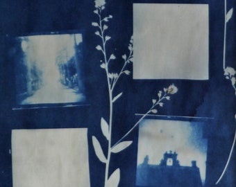 Caribbean Memories Cyanotype Holga Film Negatives Handmade Unique Artwork 8x10 matted to 11x14
