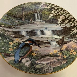 Vintage Birds Woodland Barrett Bone China Plate