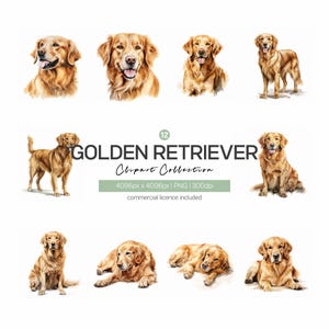 Golden Retriever Clipart Bundle, 12 arquivos PNG de alta qualidade, diário, álbum de recortes, adesivos, download digital instantâneo, uso comercial