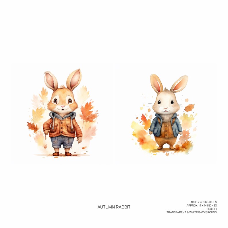 Autumn Rabbit Clipart Bundle, 12 High Quality PNG Files, Journal ...