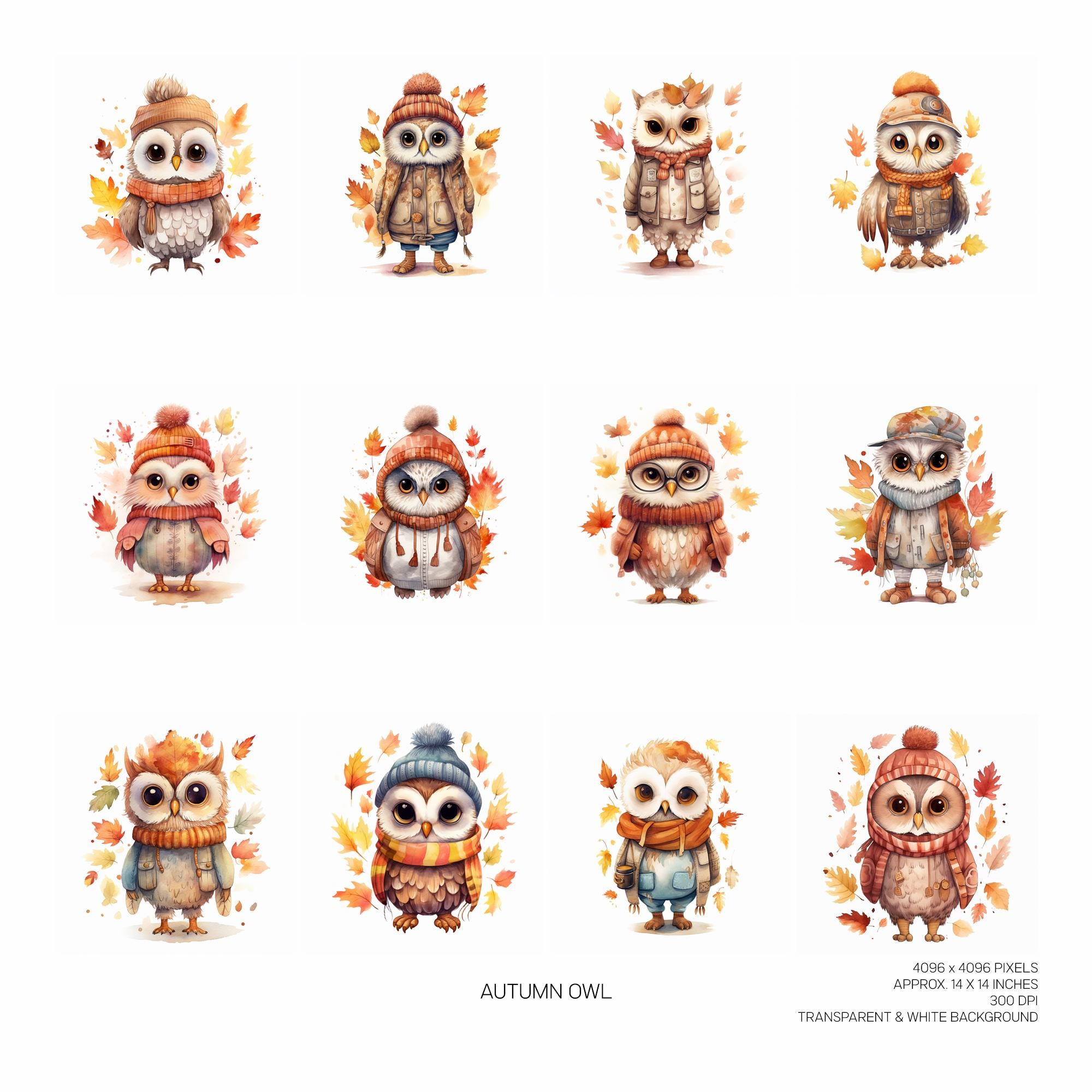 Autumn Owl Clipart Bundle, 12 High Quality PNG Files, Journal, Scrapbook, Stickers, Instant Digital 