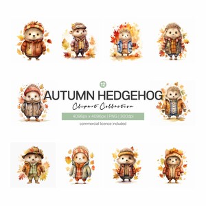 Bundle de cliparts hérisson automne, 12 fichiers PNG de haute qualité, journal, scrapbooking, autocollants, téléchargement numérique instantané, usage commercial