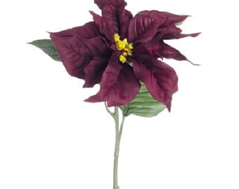 Burgundy Longstem Poinsettia Curl Pick: Burgundy, 11 x 28 inches