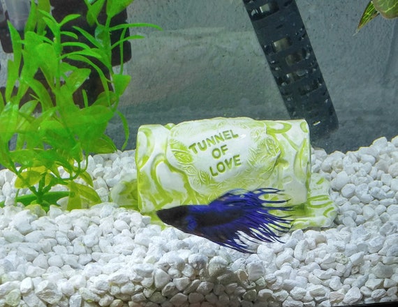 personalized fish tank decorations