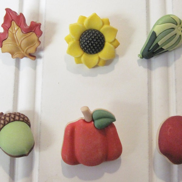 Harvest Pumpkin, Apple, Sunflower, Gourd, Acorn and Leaf Buttons Galore Novelty Designer Buttons 6 buttons on card