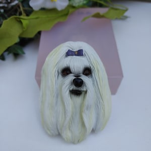 Maltese One Piece Clear Transparent View  Silicone Dog Mold