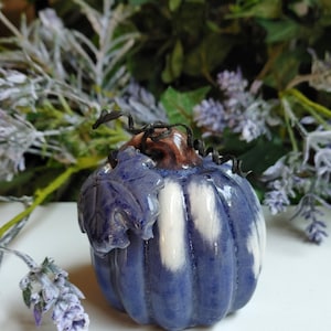2.5 inches Stormy Blue Stoneware One Clay Pumpkin Gift Boxed