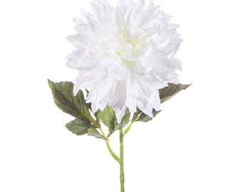 One Long-stem White Dahlia Pick: 29 inches