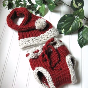 May include: Red and white knitted Santa hat and diaper set for a baby. The hat has a white pom-pom on top.