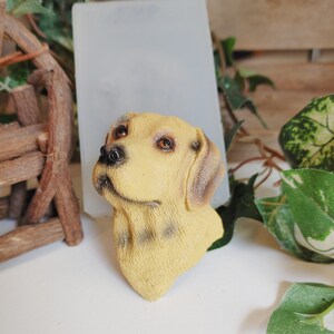 One Piece Clear Transparent View Labrador Silicone Dog Mold