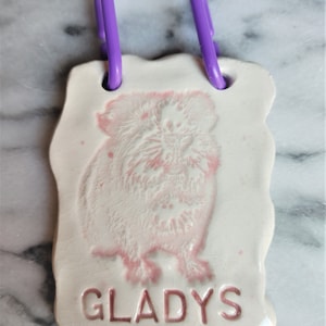 Personalized Guinea Pig Cage Name Plate, Tags or Ornaments