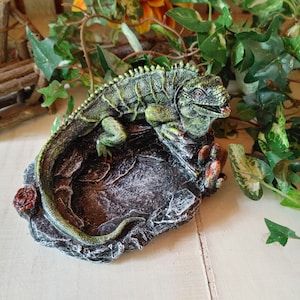 Concrete Iguana Figurine: Hand-Painted Reptile Garden Decor
