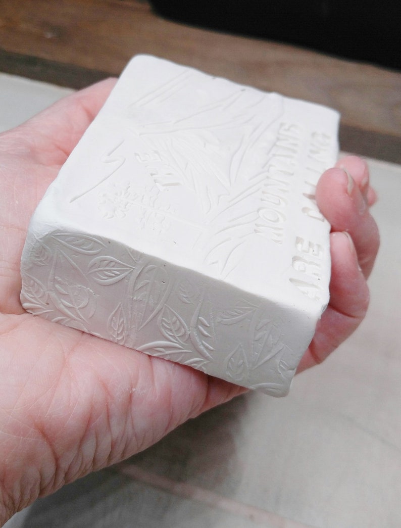 Candles etc. The Mountains are Calling Silicone Mold for Soap Chocolate