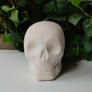 Ready to Paint Skull - Ceramic Bisque Ready to Paint - DIY Project Skull 2.5 inches