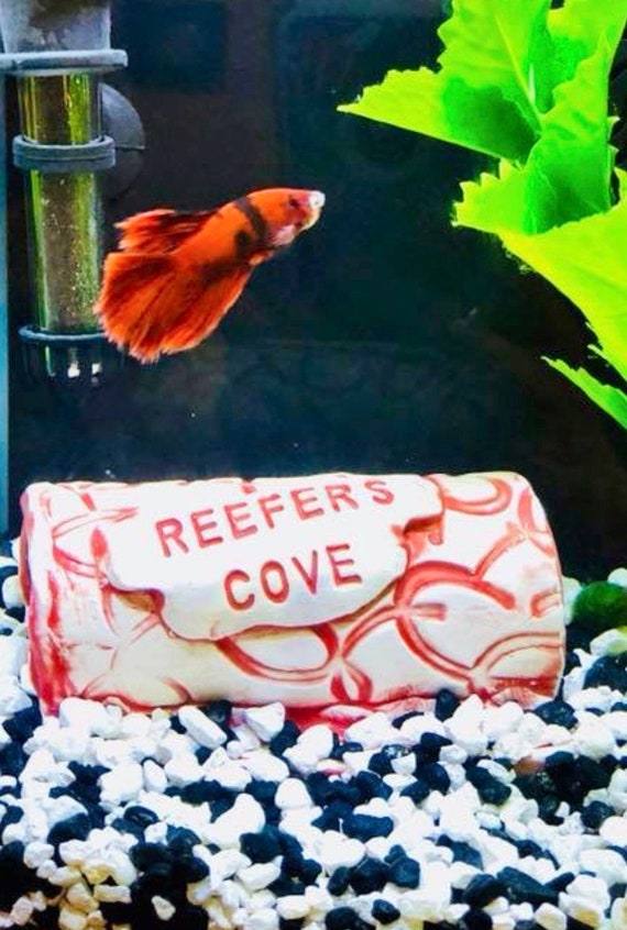 personalized fish tank decorations