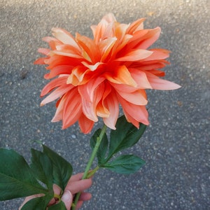 Artificial Longstem Dahlia Pick: 7.5 x 29 inches, 2 Assorted Colors