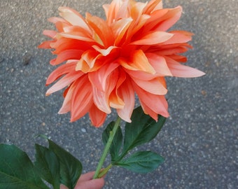 Longstem Dahlia Pick: 7.5 x 29 inches, 2 Assorted Colors