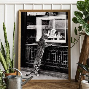 Black and White - Panther in the Jewelry Shop Print - Vintage Photography - Fashion Print - 1950s - Wall Art - Cheetah Poster - Canvas