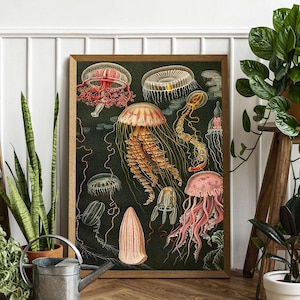 Vintage Jellyfish Poster, Ocean Art, Wildlife Print, Fish Art, Nature, Botanical Art, Marine Art, Gift Idea, Nautical Print