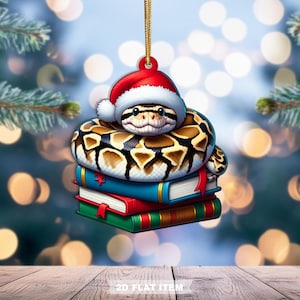 Pode incluir: Um enfeite de Natal com uma cobra sorridente usando um gorro de Papai Noel, empoleirada em cima de uma pilha de livros. A cobra tem um padrão marrom e bege. Os livros são azuis, vermelhos e verdes com marcadores de fita vermelha. O enfeite é um item plano 2D.