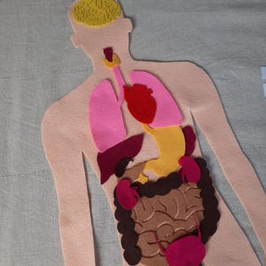 Human Anatomy Set | Felt Body Organs