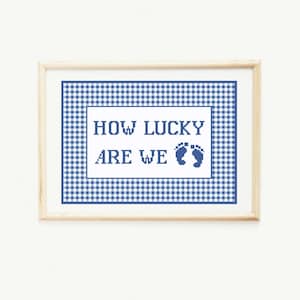 PDF Needlepoint & Cross Stitch Digital Pattern - &quot;How Lucky Are We&quot; Blue Baby Boy Nursery Decor with Gingham Border