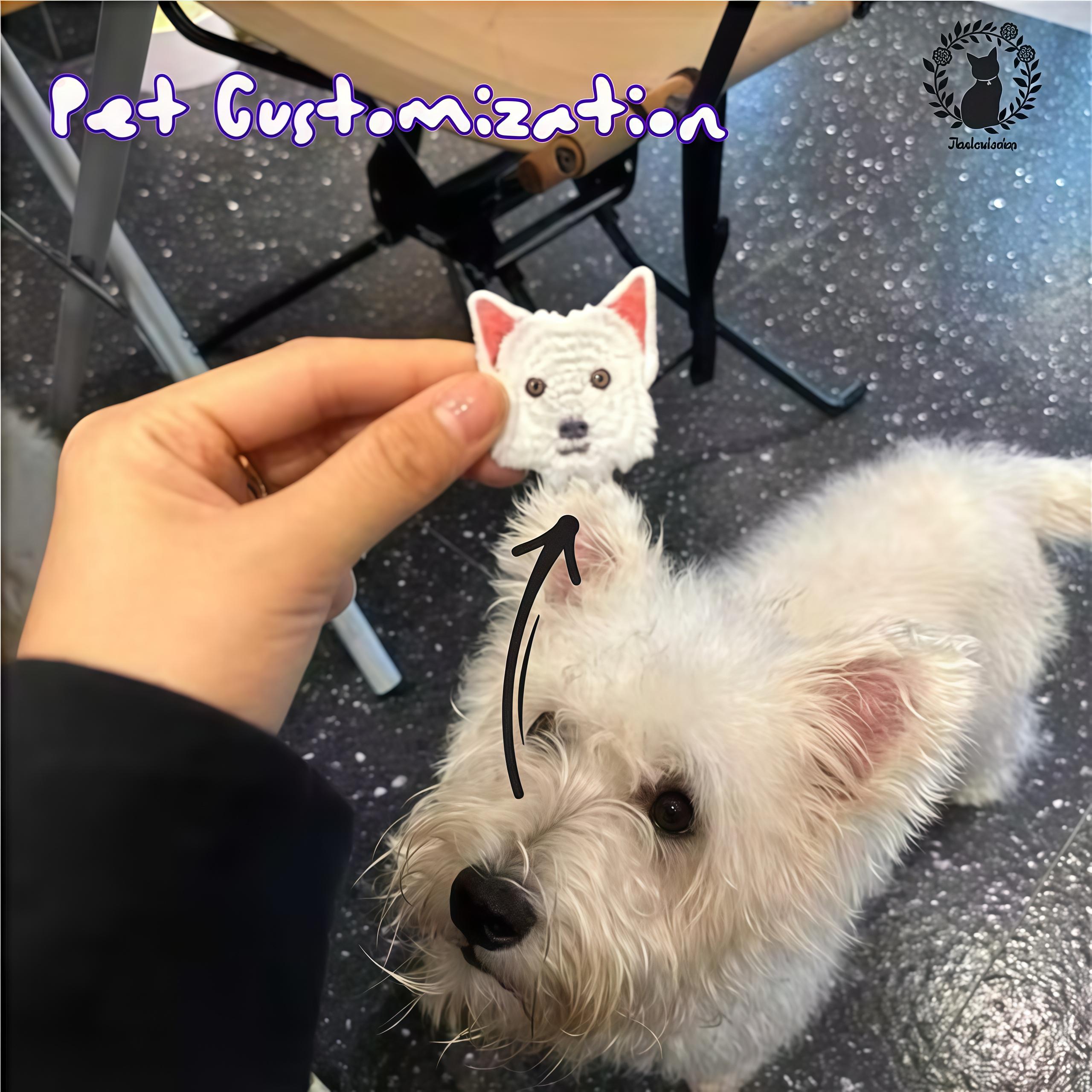 Westie Teddy Bear Haircuts Westie Puppy Cut Sales New Releases