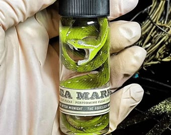 Specimens - Schlangenspezies - Konservenproben - Miniproben - Nasse Specimen - Reptilienproben, Biologische Specimens