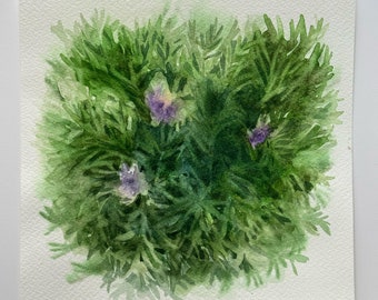 Original watercolor painting "Lavender"  8x8 in