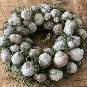 Può includere: Una ghirlanda circolare composta da numerose conchiglie bianche e beige, intervallate da materiale vegetale verde essiccato. Le conchiglie variano per dimensioni e forma, creando un'estetica naturale e strutturata. La ghirlanda è esposta su una superficie di legno.