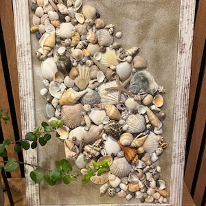 Puede incluir: Una pieza de arte de conchas marinas enmarcada con una variedad de conchas, estrellas de mar y perlas dispuestas en un patrón de onda sobre un fondo beige.