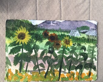 Edison Slough with sunflowers