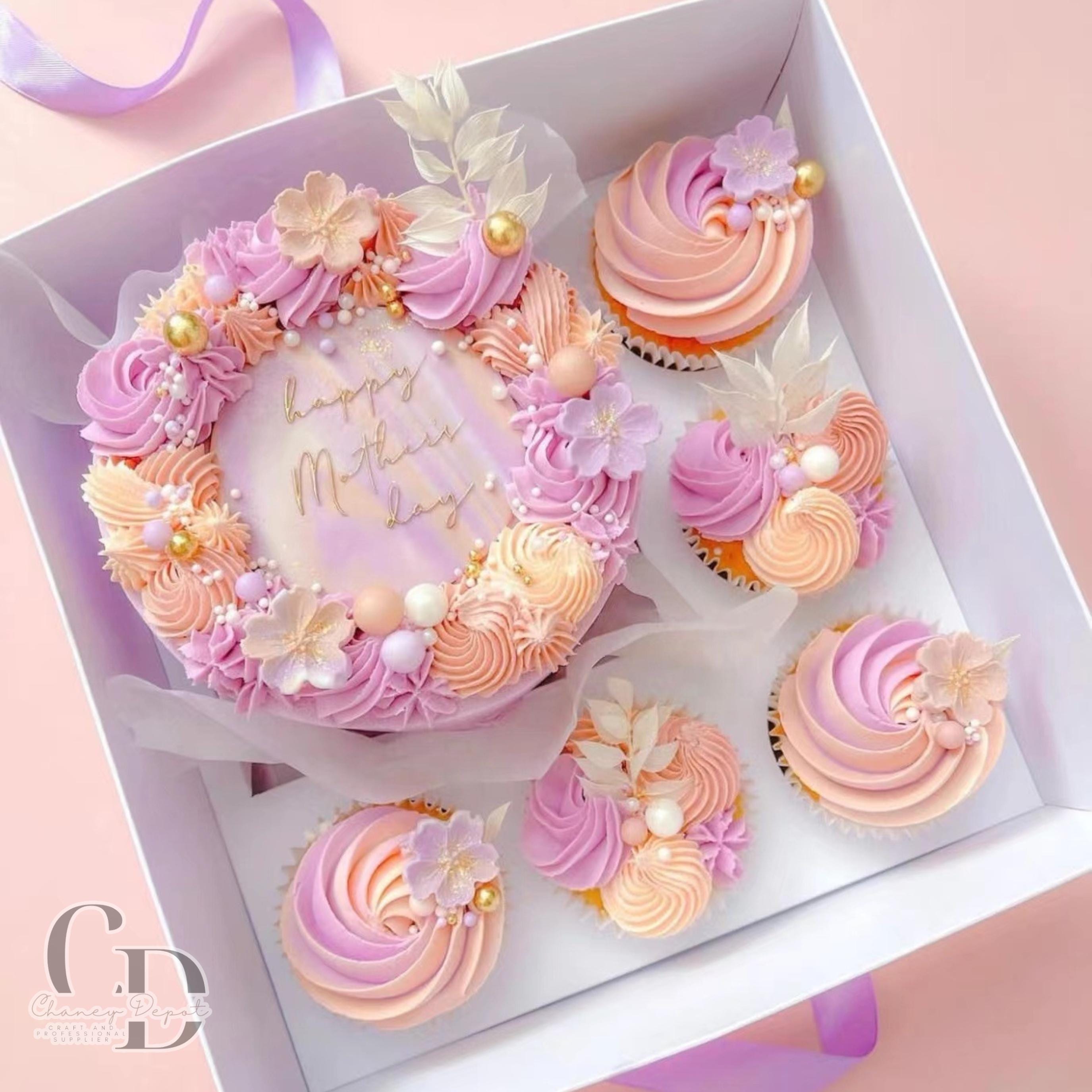 Chaney Depot LLC- Bento Cake and Cupcake Box- 5 Pack