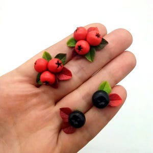 Set Stud earring Rowan Berries jewelry Autumn jewelry Fall jewelry Red stud earrings Minimalist earrings Polymer clay jewelry Hypoallergenic