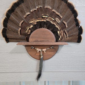 May include: A mounted turkey fan display. The fan features brown and black feathers arranged in a semi-circular shape. It is attached to a wooden base with a shelf and decorative elements, including a tassel.