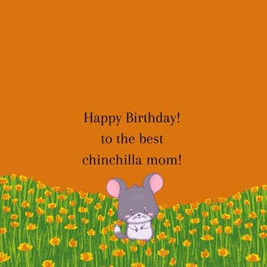 Greeting card, Chinchilla card, chinchilla birthday card