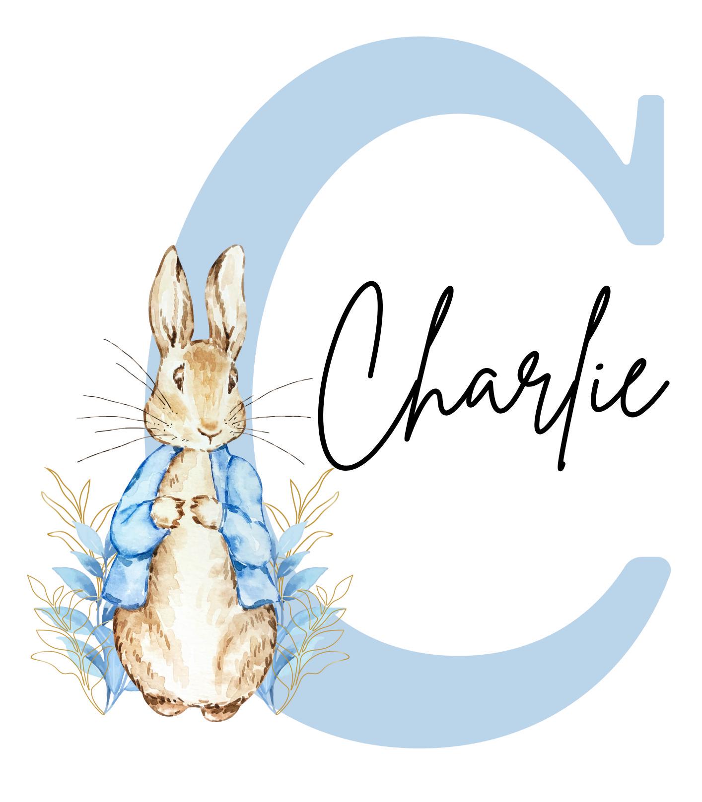 Peter Rabbit Light Switch Surround Wall Decal Sticker - Kids Bedroom Decor, Vertical Vinyl