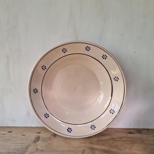 Può includere: Una ciotola rotonda in ceramica color crema caratterizzata da un bordo largo decorato con una serie di piccoli fiori dipinti in blu scuro. Una sottile linea circolare blu scuro separa il centro della ciotola dal motivo floreale sul bordo.