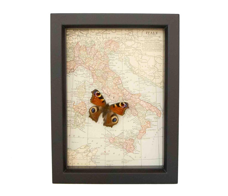 Puede incluir: Un mapa vintage enmarcado de Italia con una mariposa marr&oacute;n y naranja montada encima. El mapa est&aacute; en blanco y negro con acentos rojos. El marco es negro.