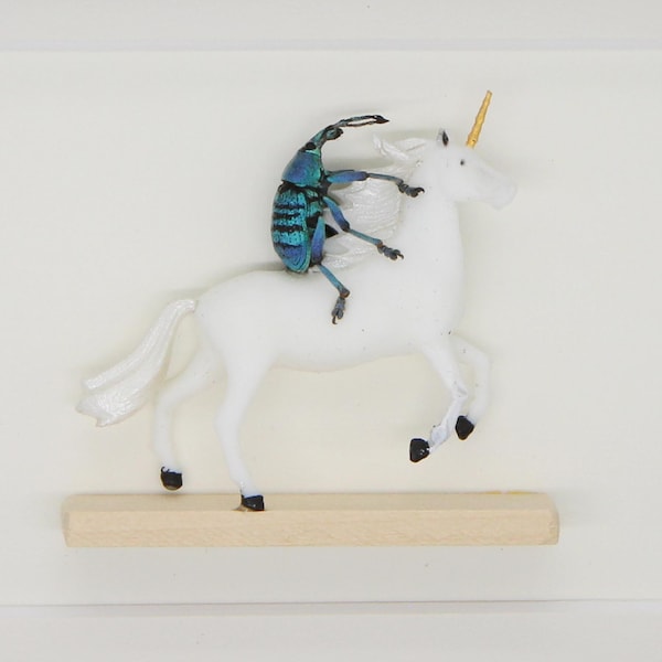 Framed Beetle Riding a Unicorn Diormas