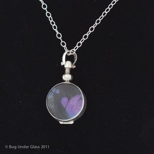 May include: A silver locket necklace with a round, clear glass pendant featuring a purple and black butterfly wing inside.